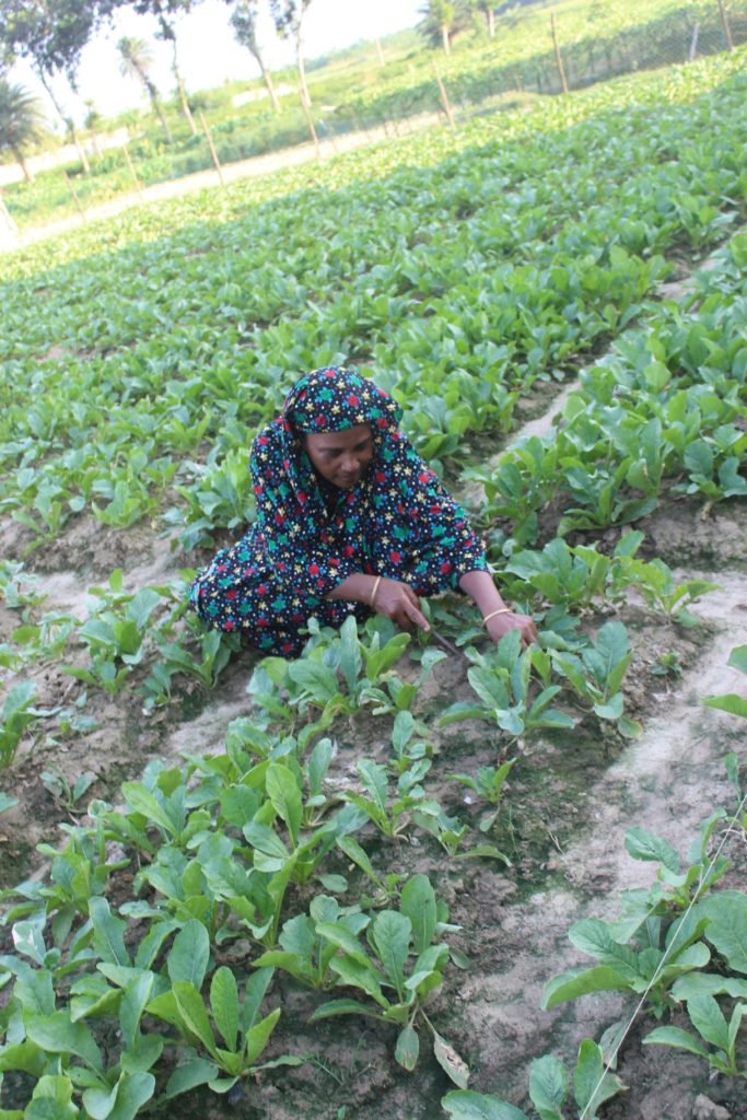 Renuka Begum in her field.