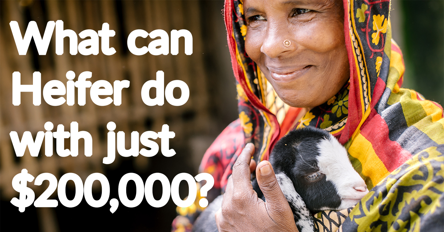 What can Heifer do with $200,000?